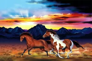 FOTOTAPETA KONE KONE CVAL SLUNCE HORY 360x240